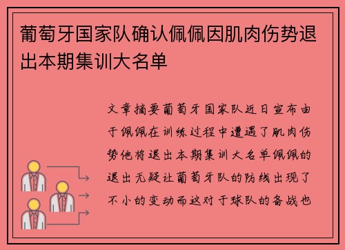 葡萄牙国家队确认佩佩因肌肉伤势退出本期集训大名单